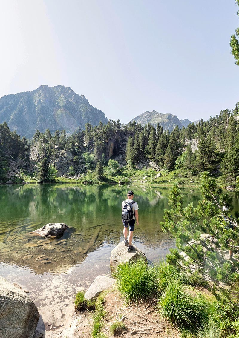 estany_gerber-01